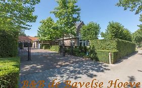 B&B Bavelse Hoeve